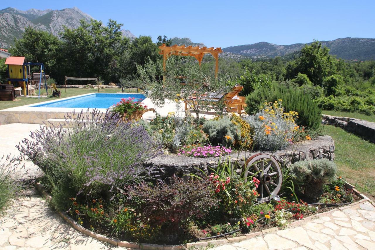 Oak House Villa Zadvarje Exterior photo